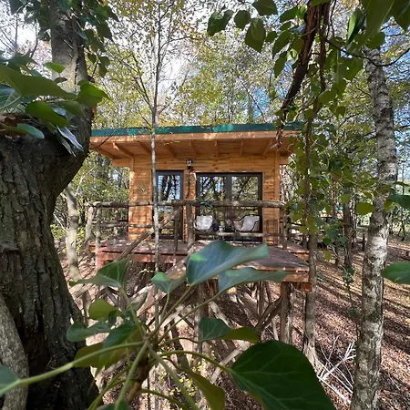 Living Forest Resort Moravske Toplice Exterior foto
