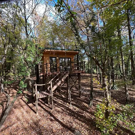 Living Forest Resort Moravske Toplice Zimmer foto