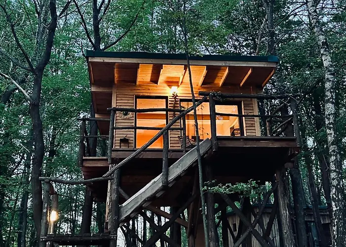 Living Forest Resort