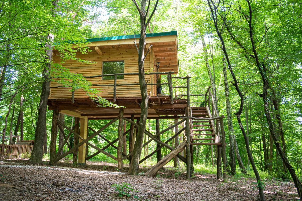 Apartment Living Forest *