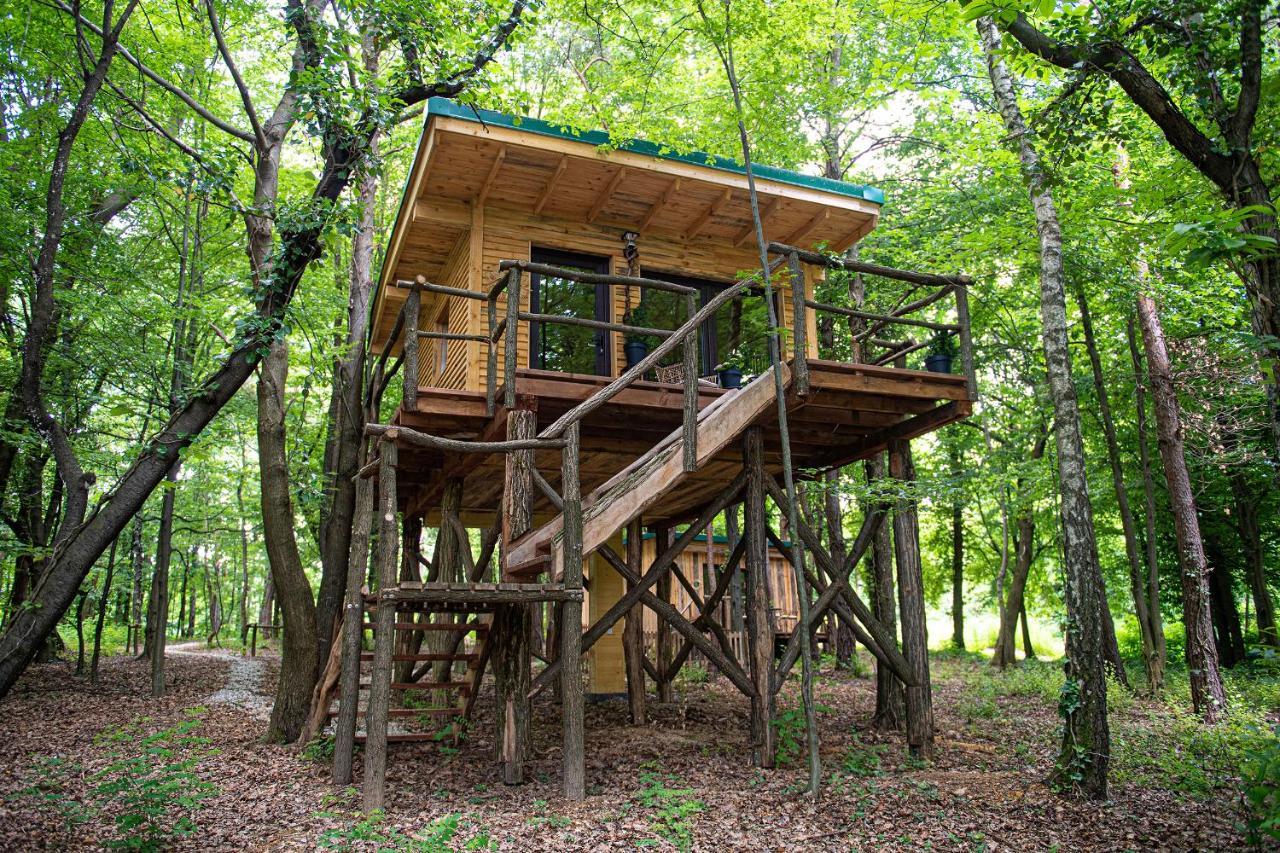 Living Forest * Moravske Toplice