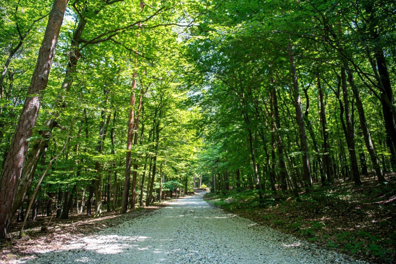 Living Forest Moravske Toplice