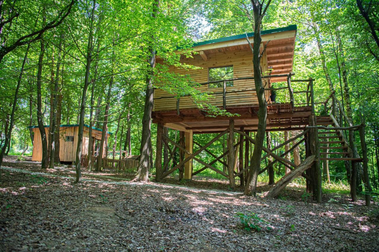 Living Forest Apartment *