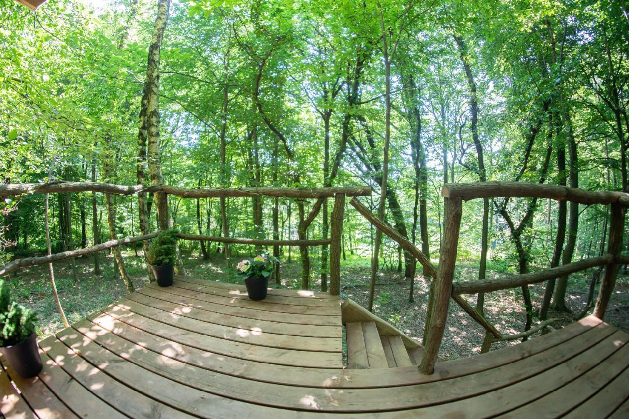 Living Forest * Moravske Toplice