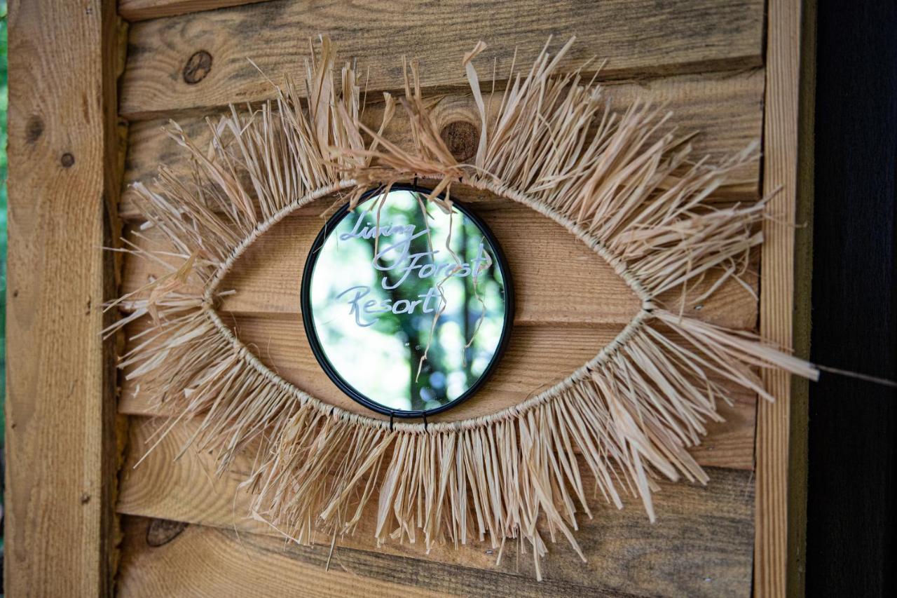 Living Forest