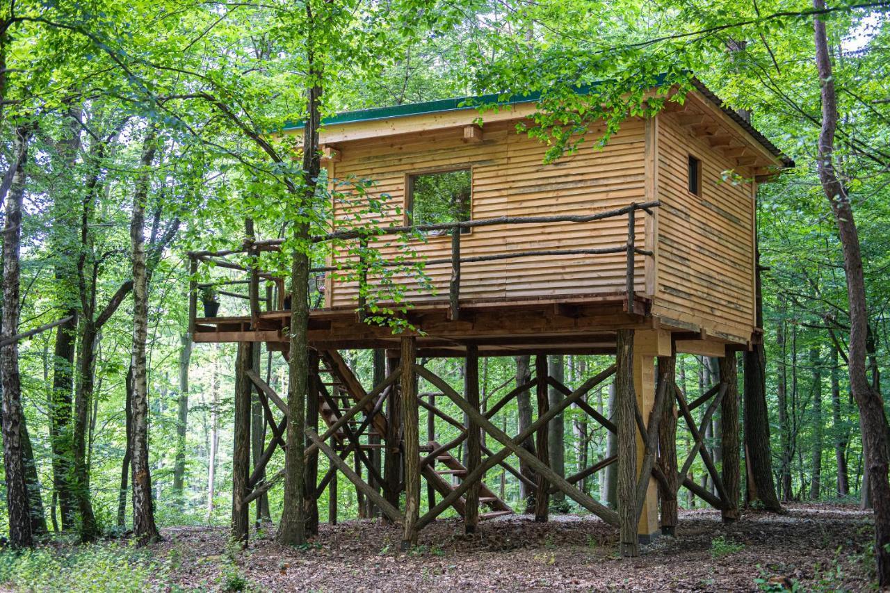 Living Forest Apartment