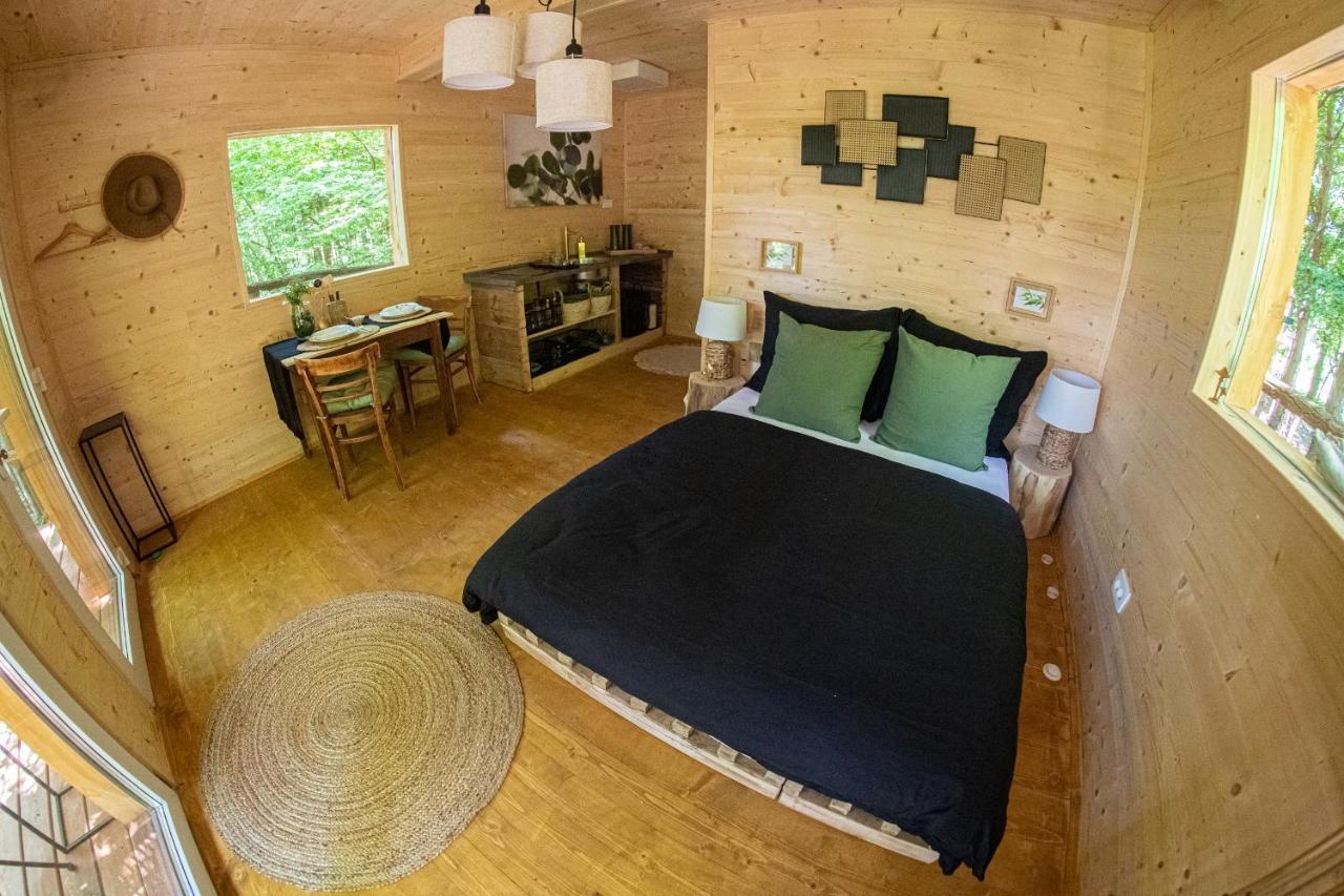 Apartamento Living Forest