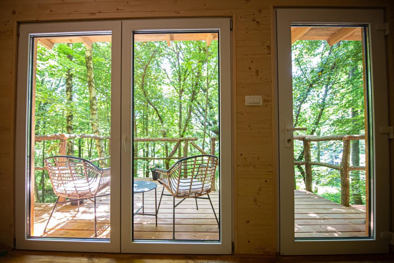 Living Forest Apartment *