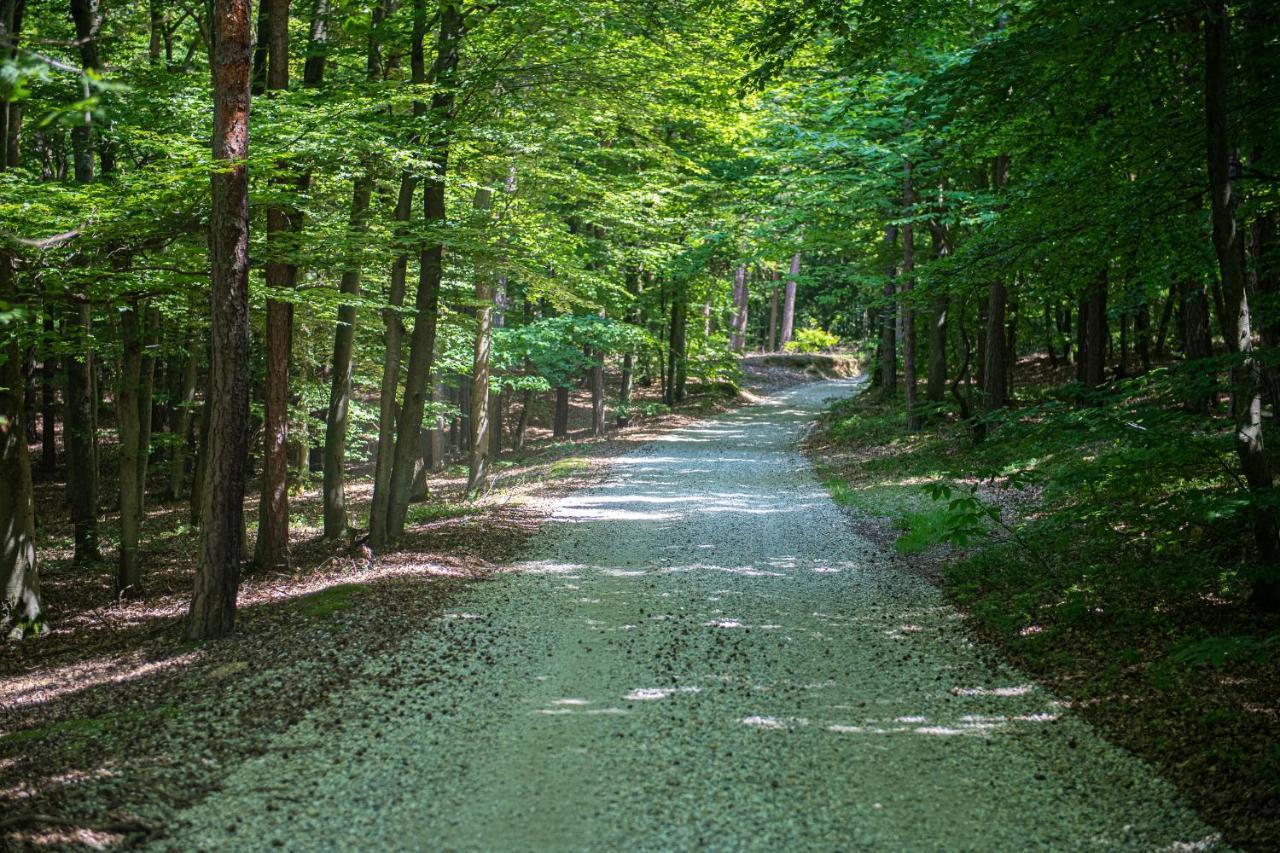 Living Forest *