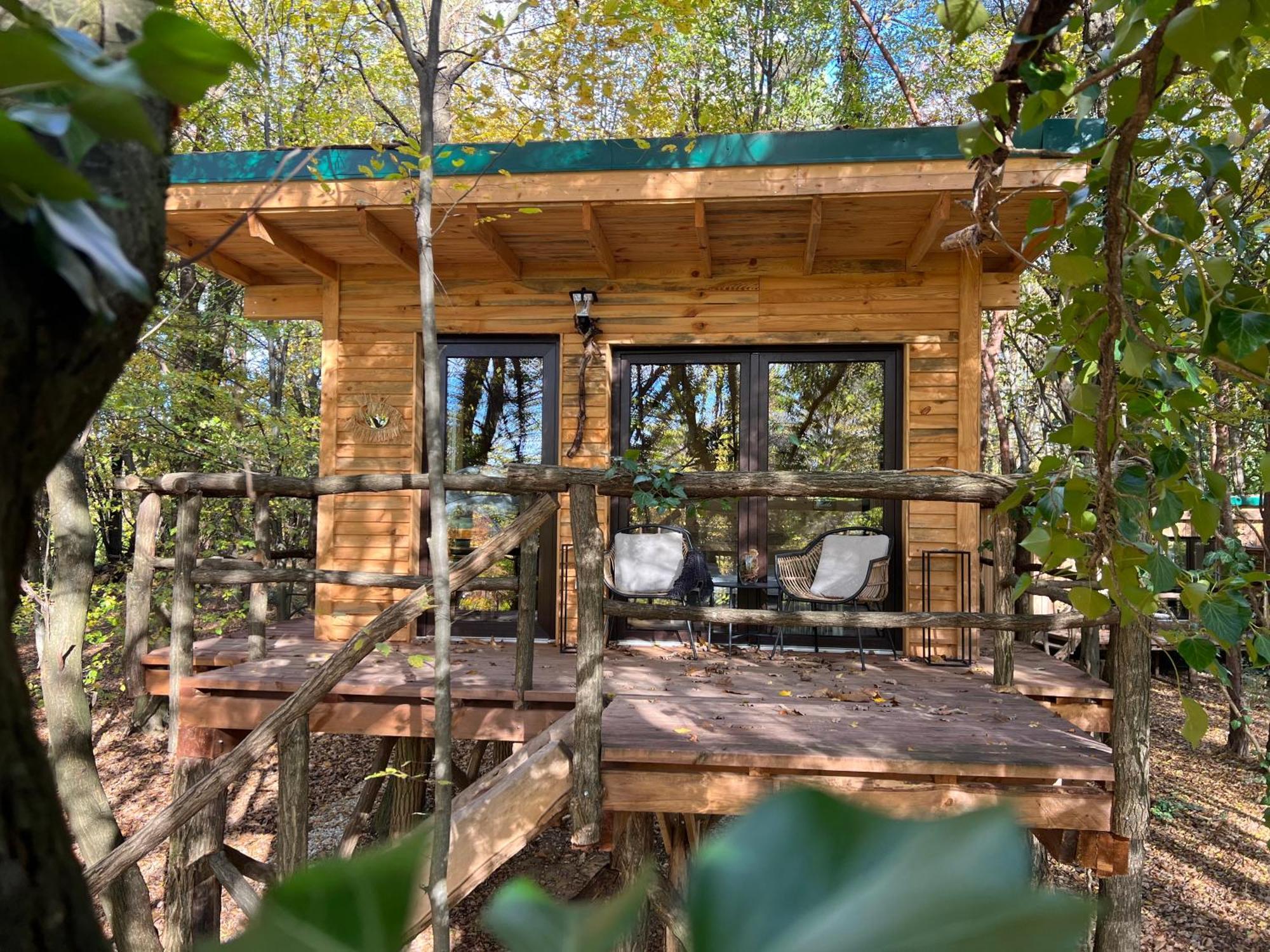 Apartment Living Forest