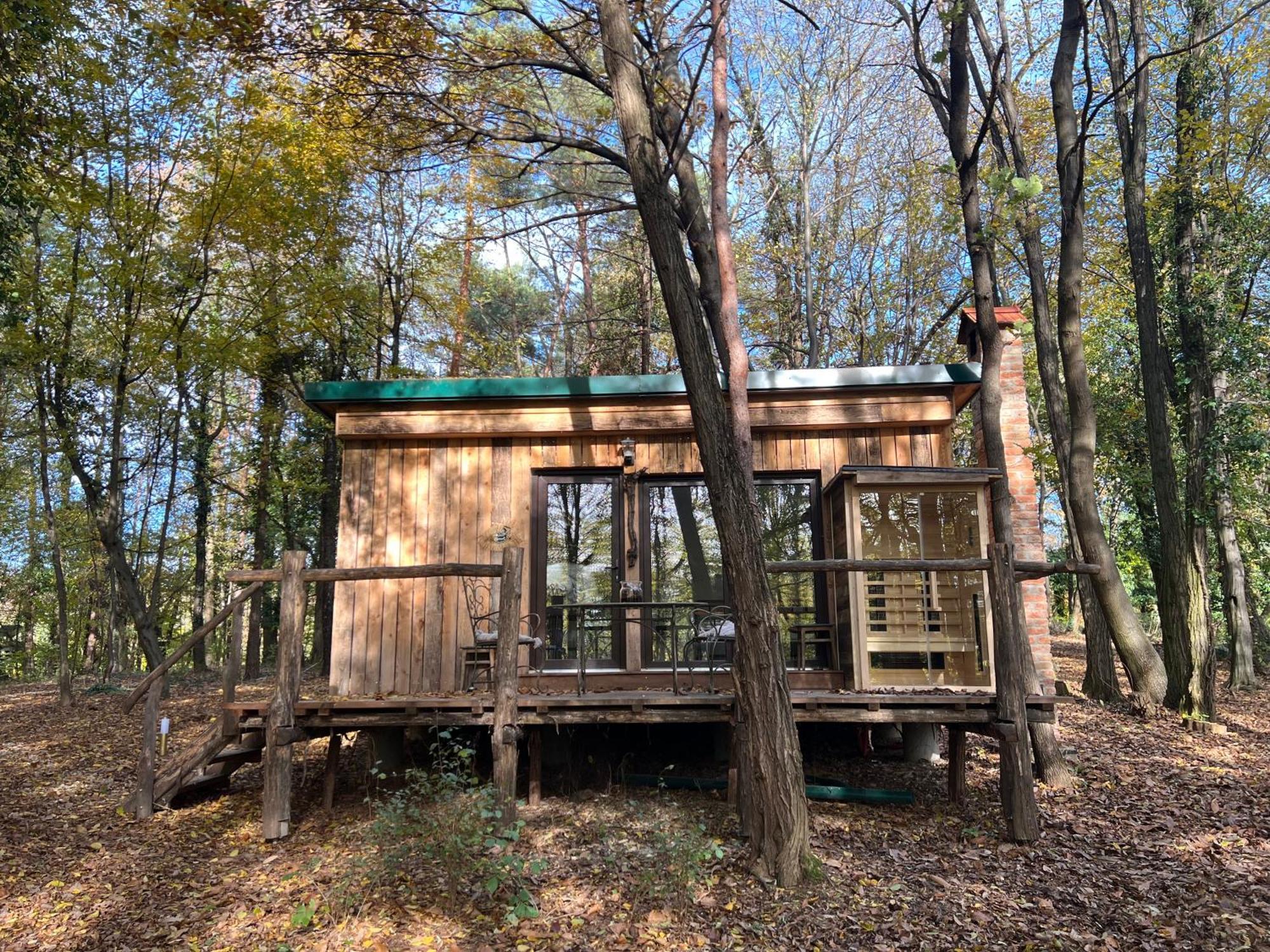 Apartamento Living Forest