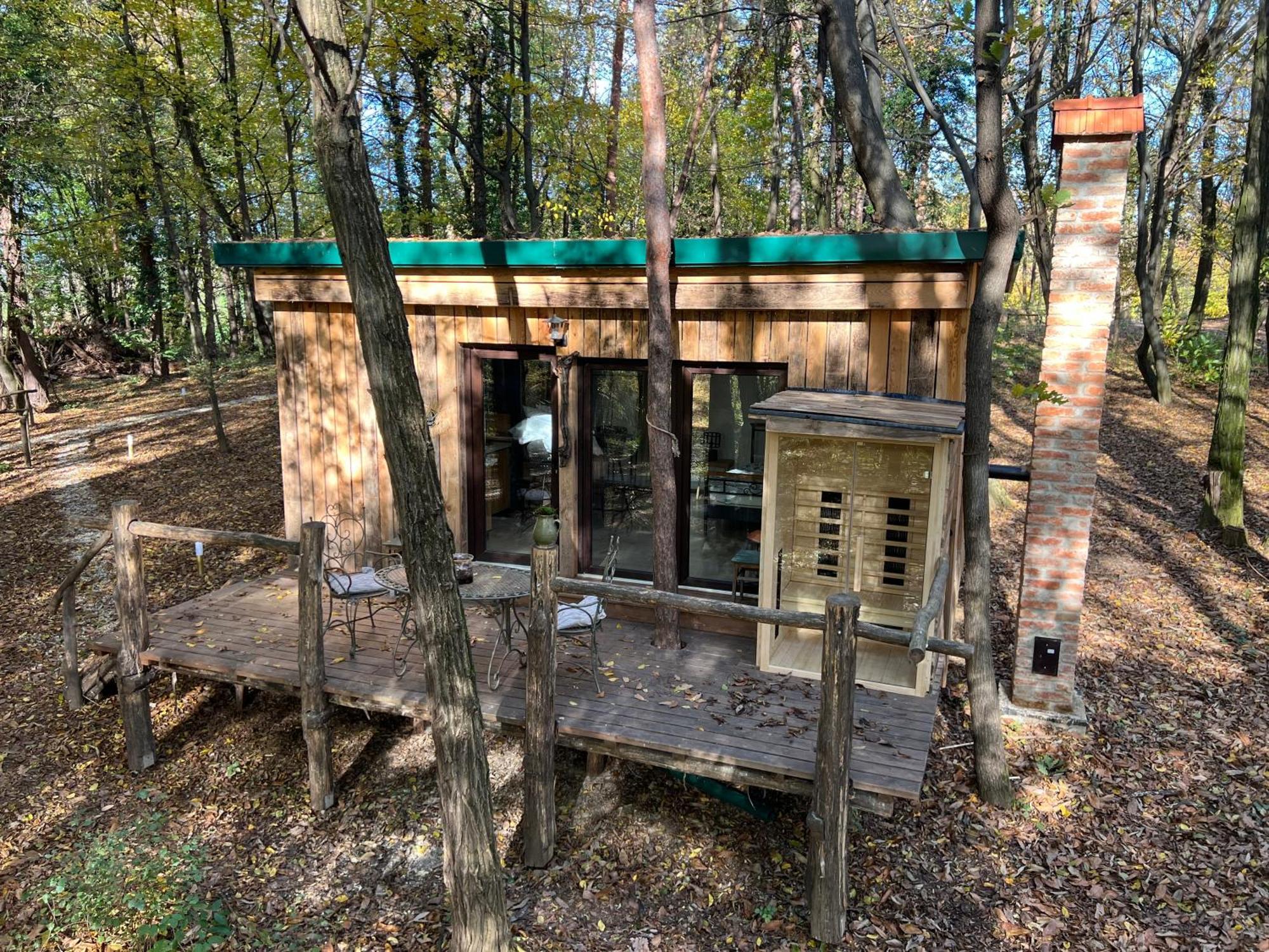 Apartamento Living Forest