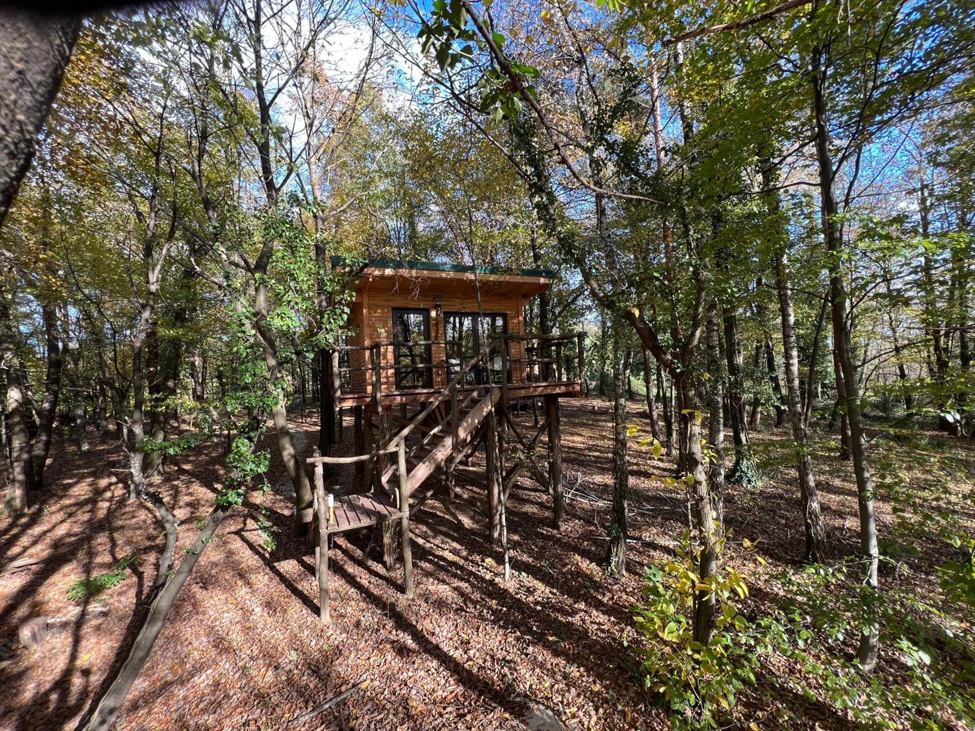 Living Forest Apartment *