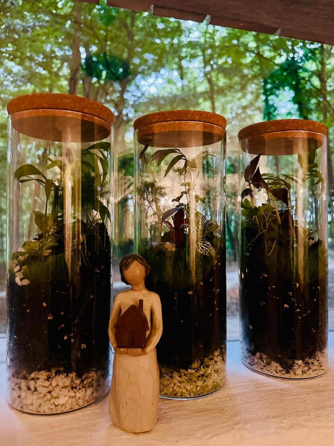 Living Forest Apartment *