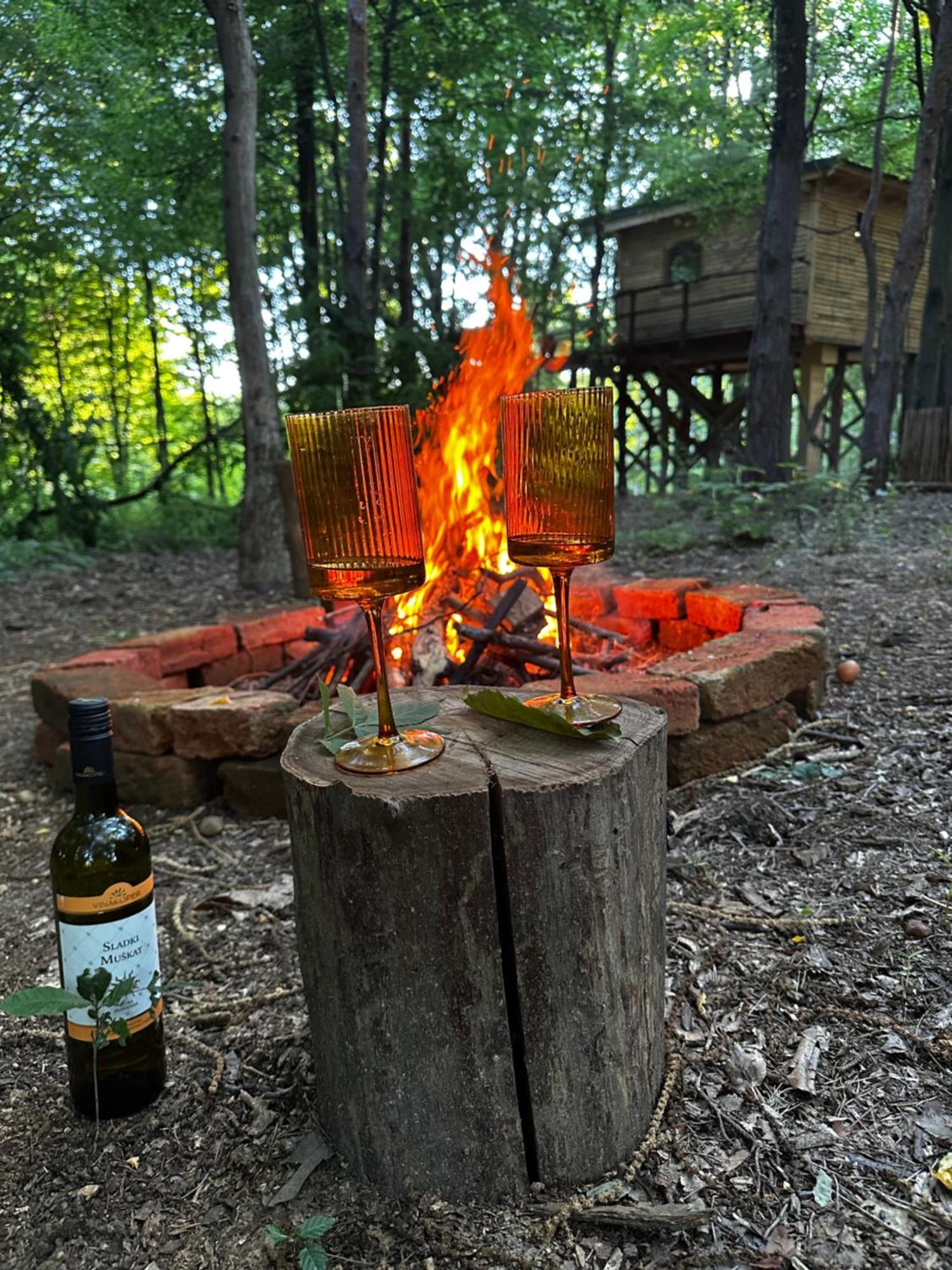 Living Forest Apartment Moravske Toplice