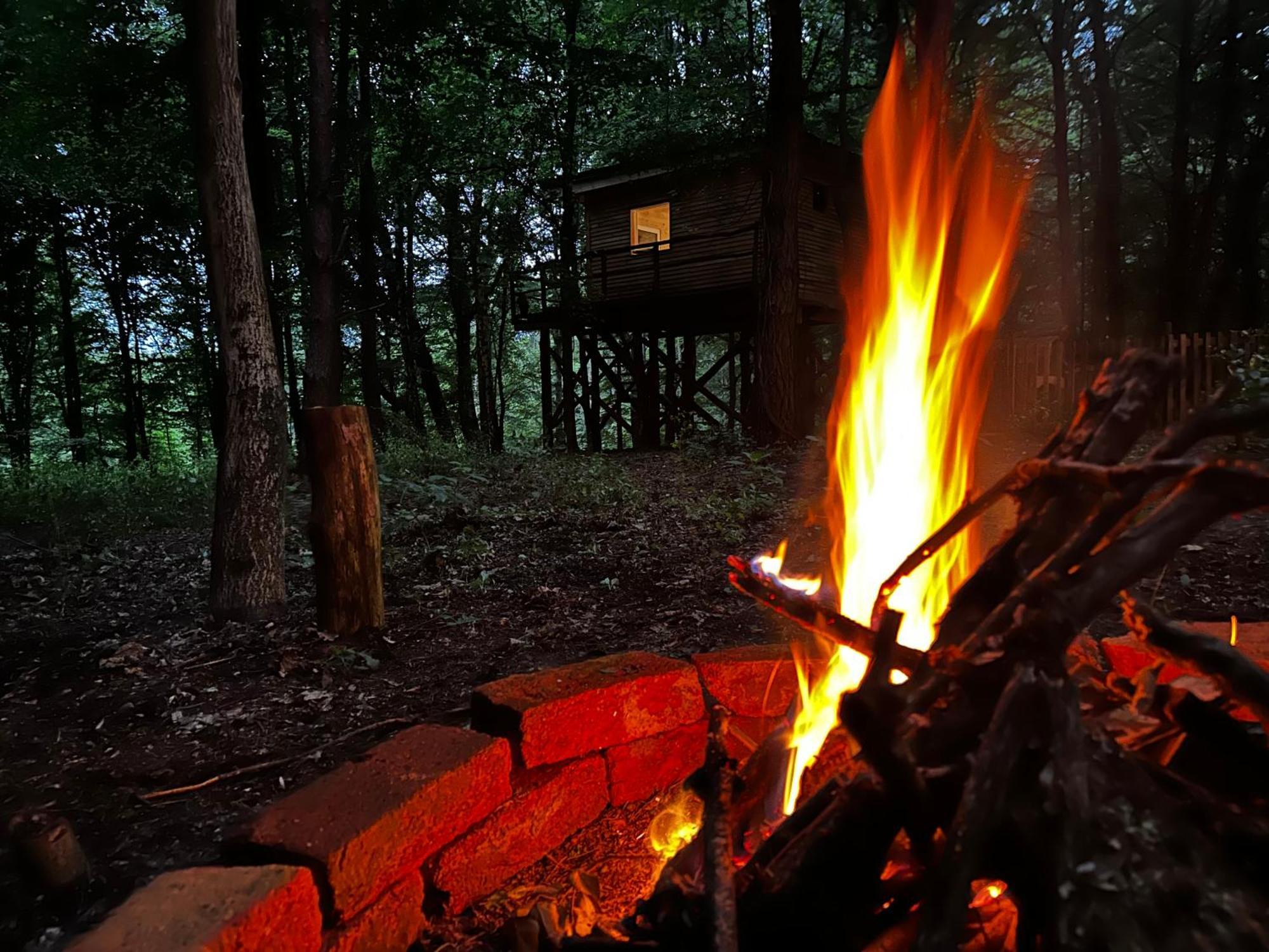 Living Forest Apartment Moravske Toplice