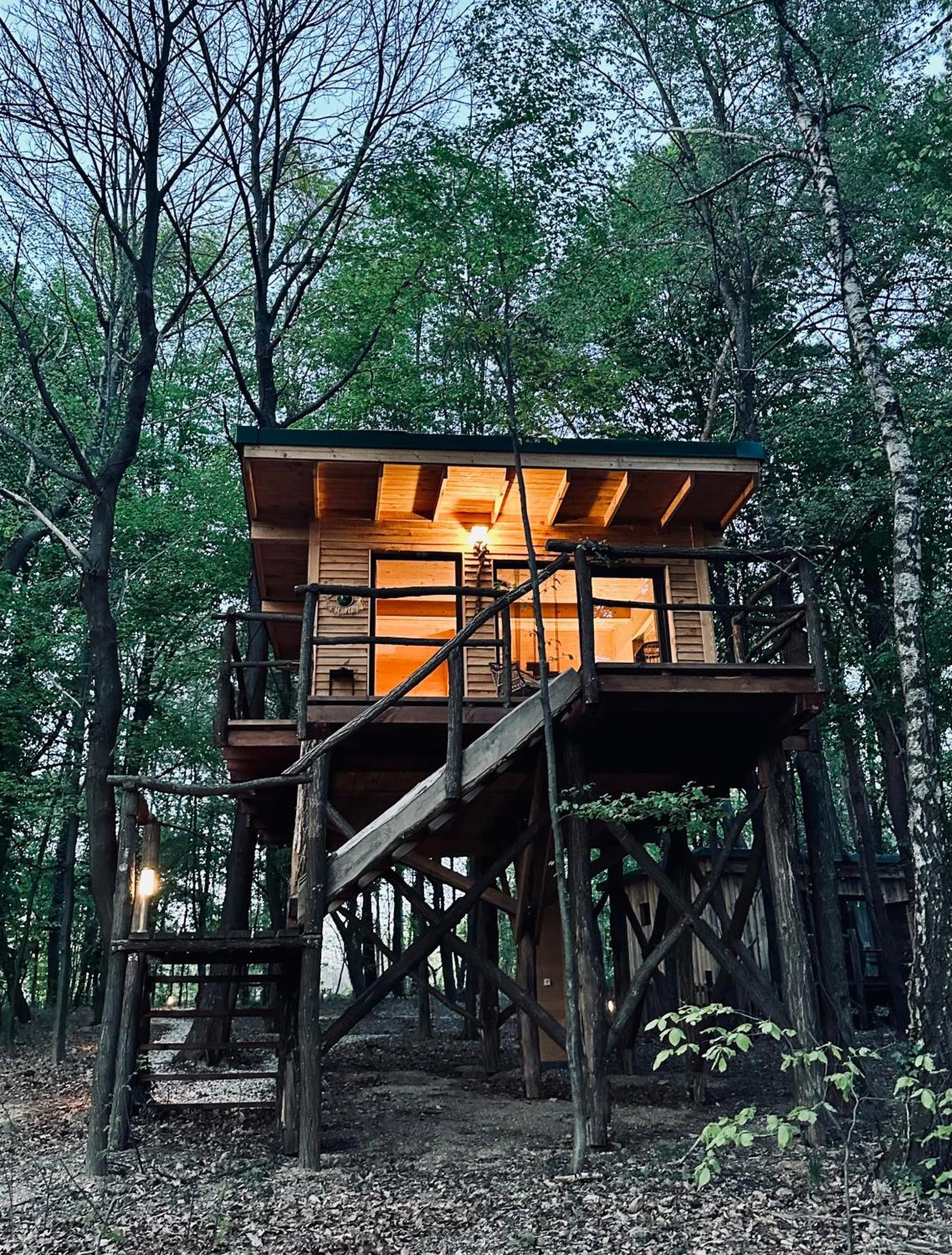 Living Forest Apartment