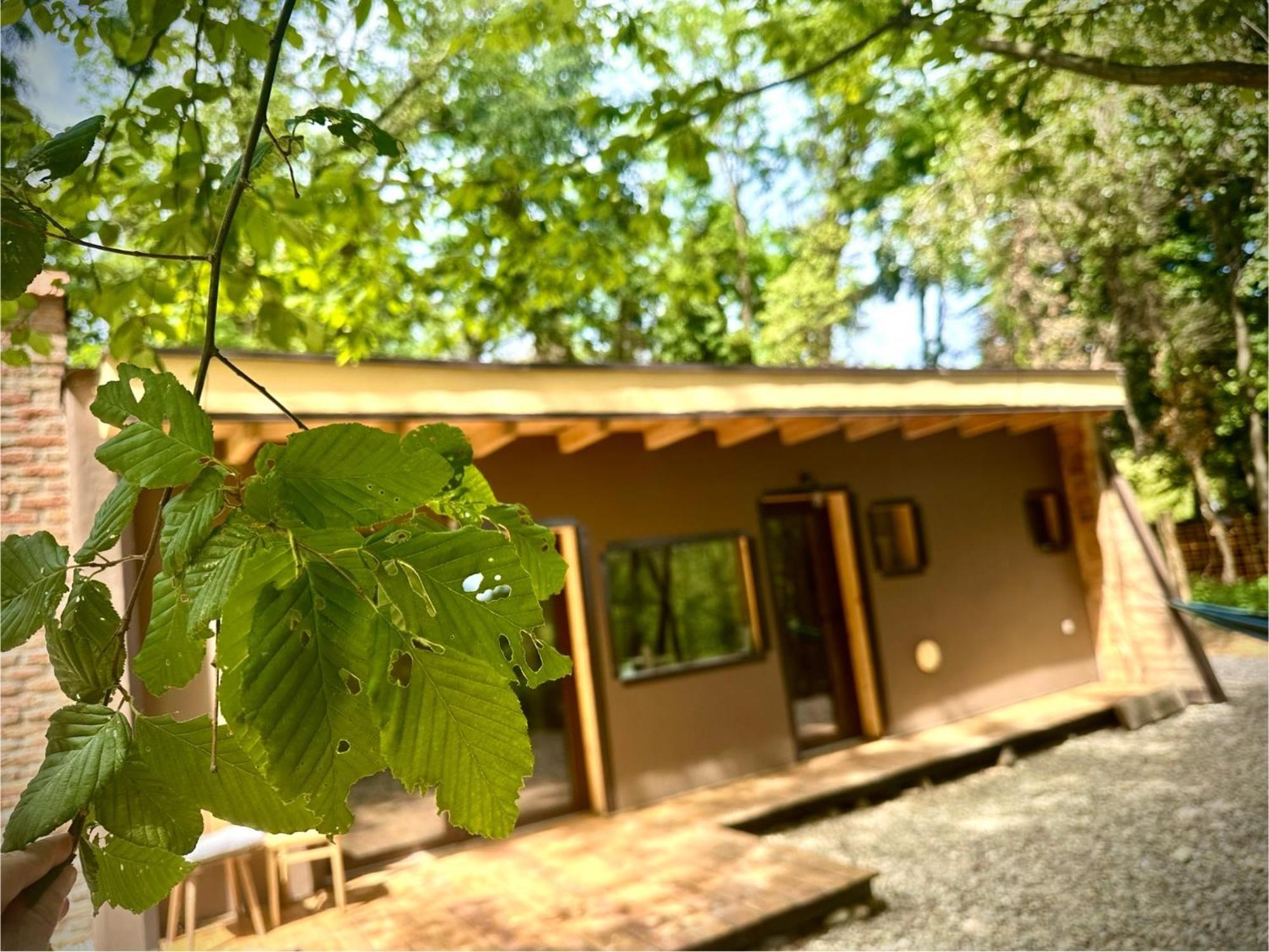 Apartamento Living Forest