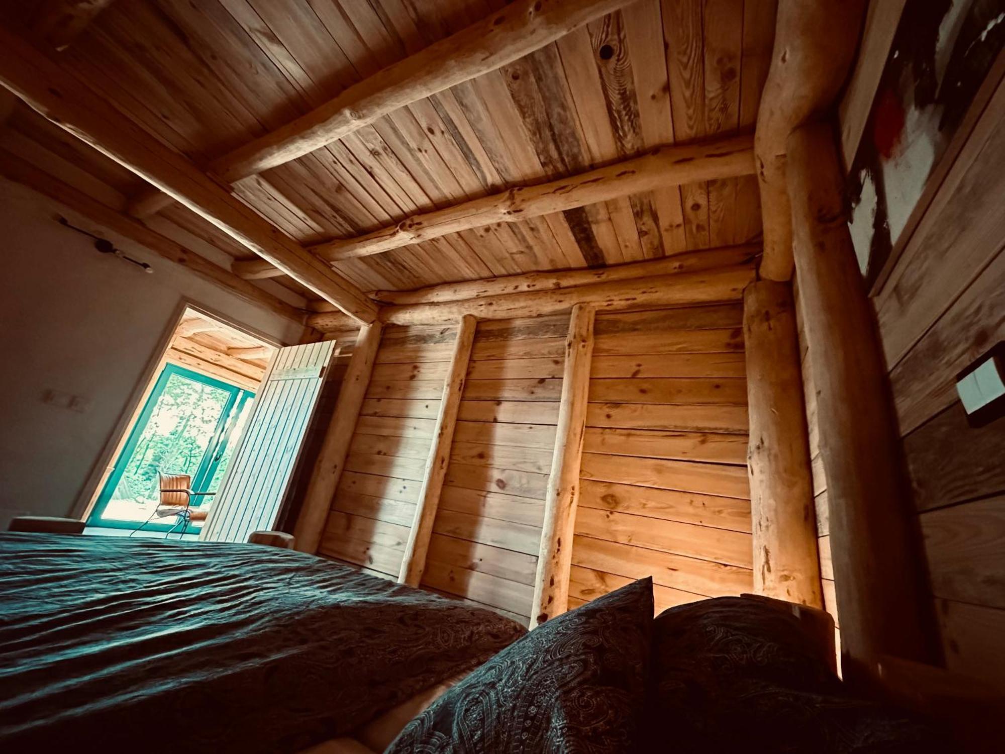 Apartment Living Forest *
