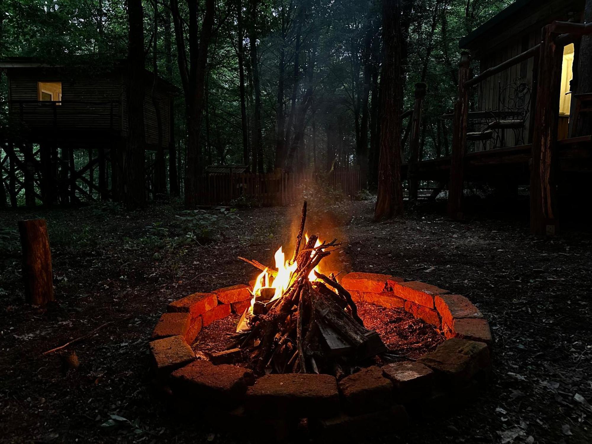 Living Forest