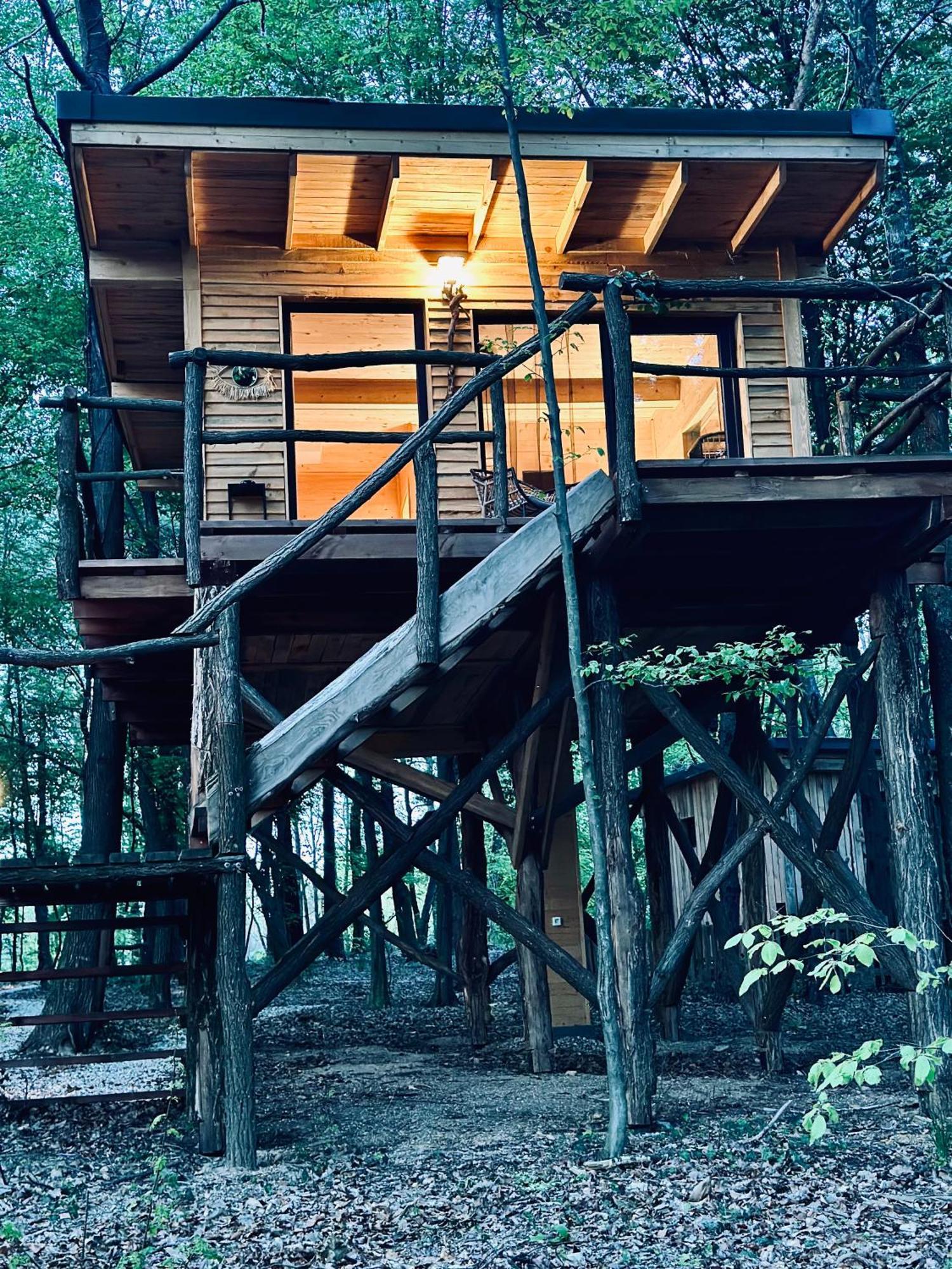 Apartment Living Forest