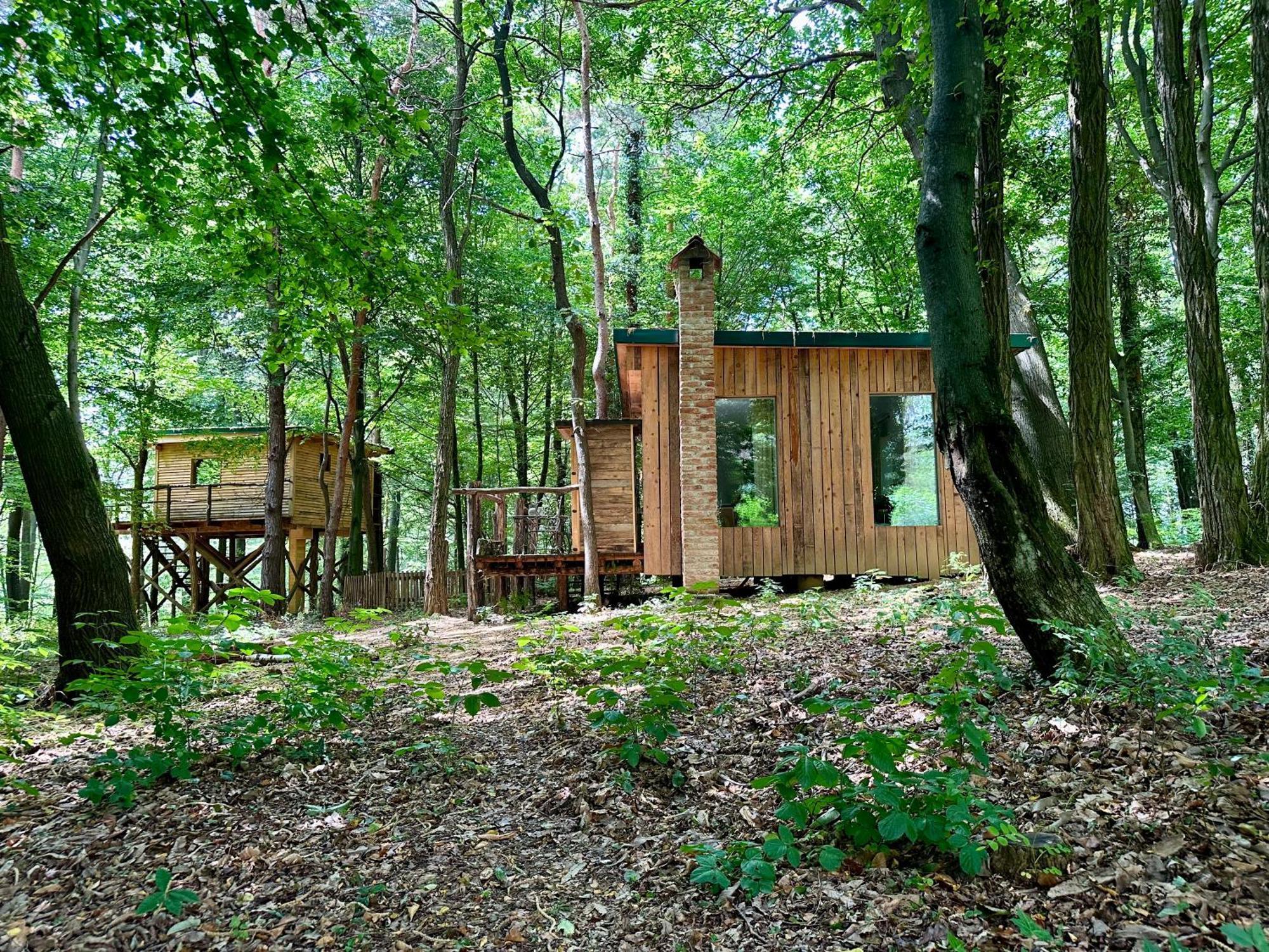 Living Forest Moravske Toplice